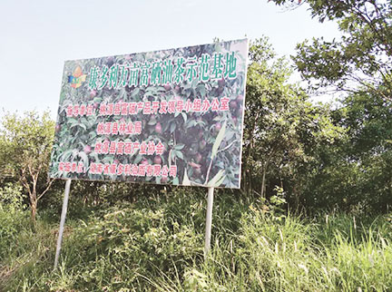 ONE游戏官网-皇马巴塞赞助商