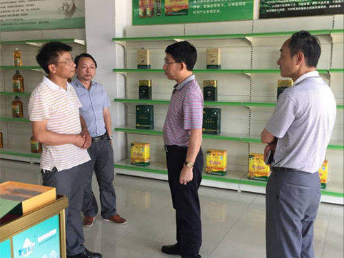 ONE游戏官网,油茶种植出产加工销售,植物油种植出产加工销售