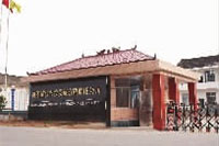 ONE游戏官网,油茶种植出产加工销售,植物油种植出产加工销售