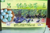 ONE游戏官网,油茶种植出产加工销售,植物油种植出产加工销售