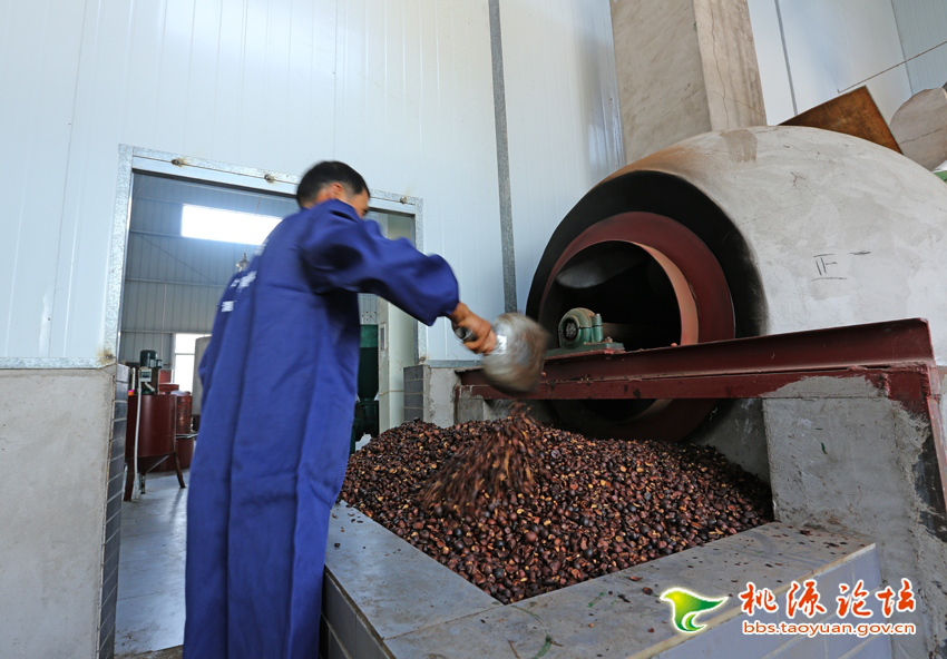 ONE游戏官网,油茶种植出产加工销售,植物油种植出产加工销售