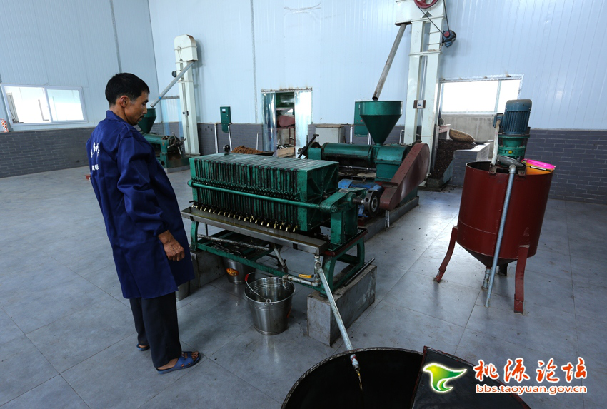 ONE游戏官网,油茶种植出产加工销售,植物油种植出产加工销售