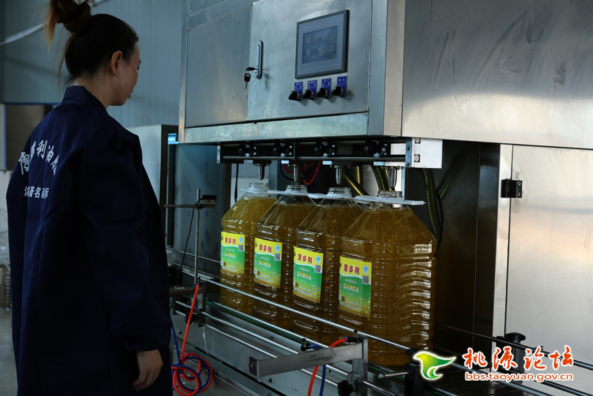 ONE游戏官网,油茶种植出产加工销售,植物油种植出产加工销售