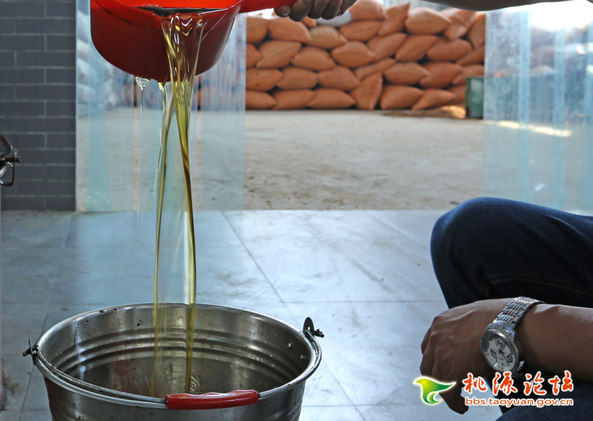 ONE游戏官网,油茶种植出产加工销售,植物油种植出产加工销售