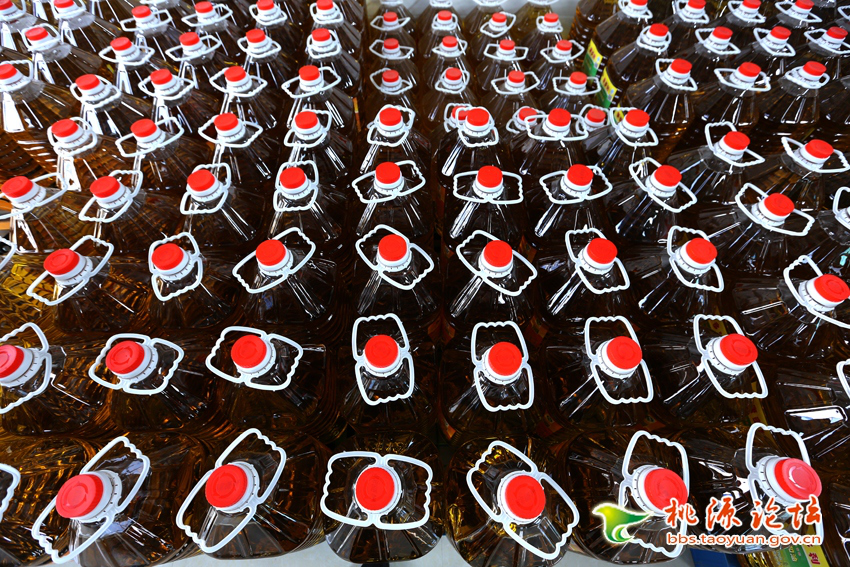 ONE游戏官网,油茶种植出产加工销售,植物油种植出产加工销售