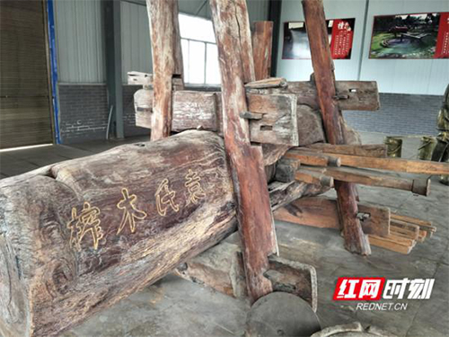 ONE游戏官网,油茶种植出产加工销售,植物油种植出产加工销售