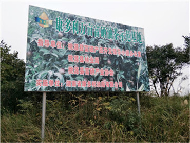 ONE游戏官网,油茶种植出产加工销售,植物油种植出产加工销售