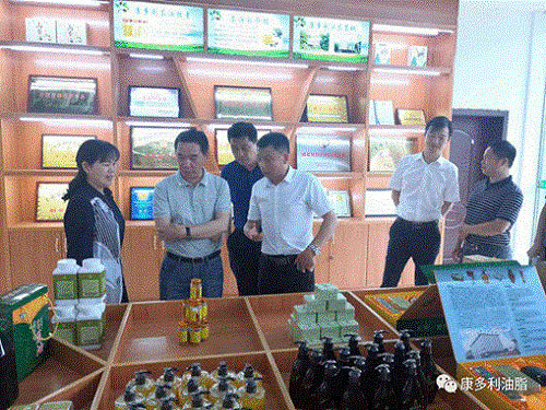 ONE游戏官网,油茶种植出产加工销售,植物油种植出产加工销售